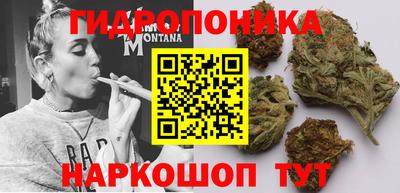 spice Рыбинск