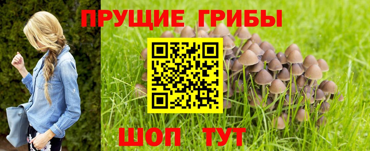 даркнет сайт  Вход с VPN  Прохладный  Псилоцибиновые грибы MAGIC MUSHROOMS 